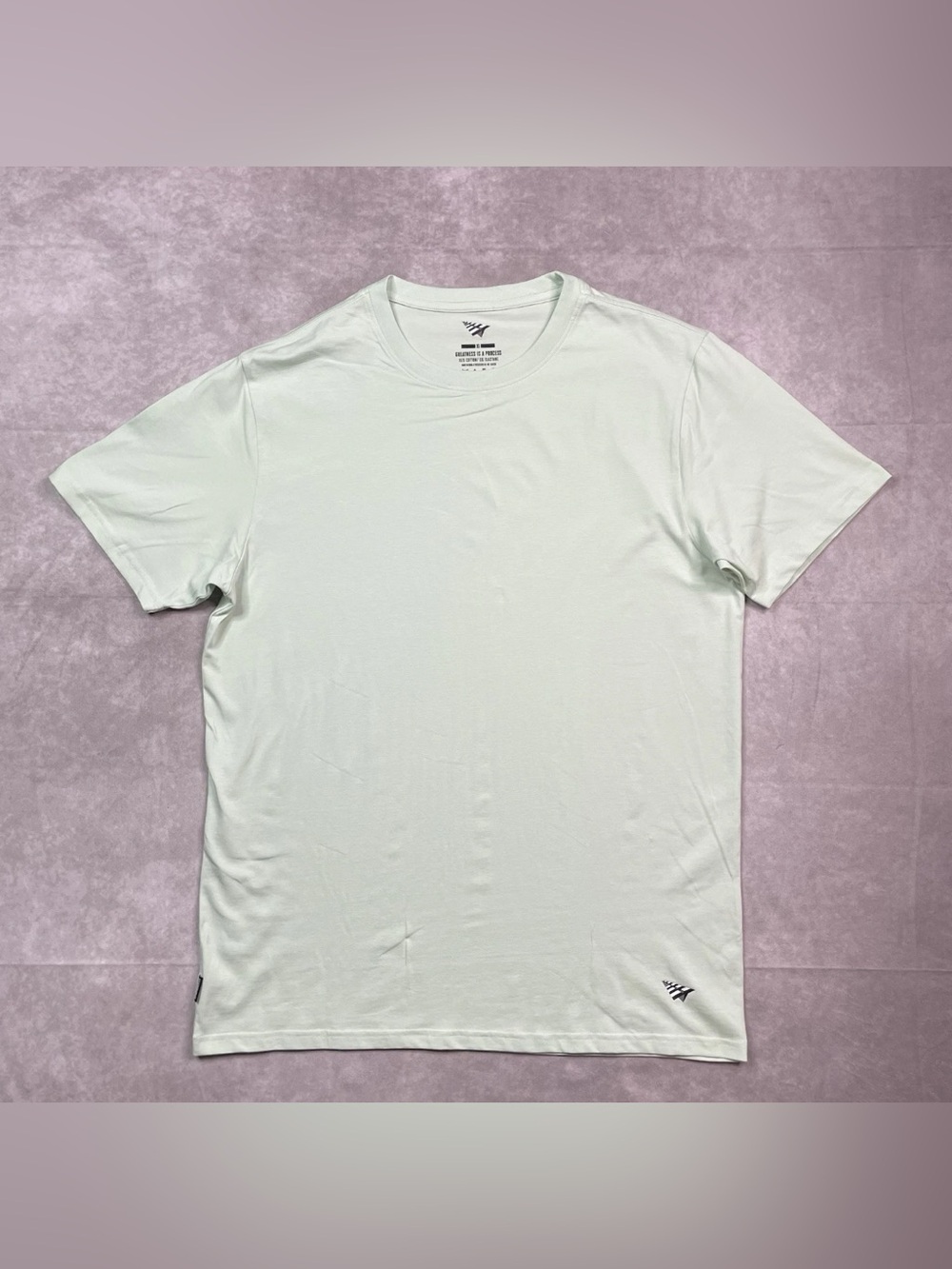 Paper Planes Jay-Z Roc Nation T-Shirt Mens XL Pastel Green Essential Shirt